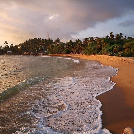 Turtle Bay Beach Resort Mirissa Zewnętrze zdjęcie