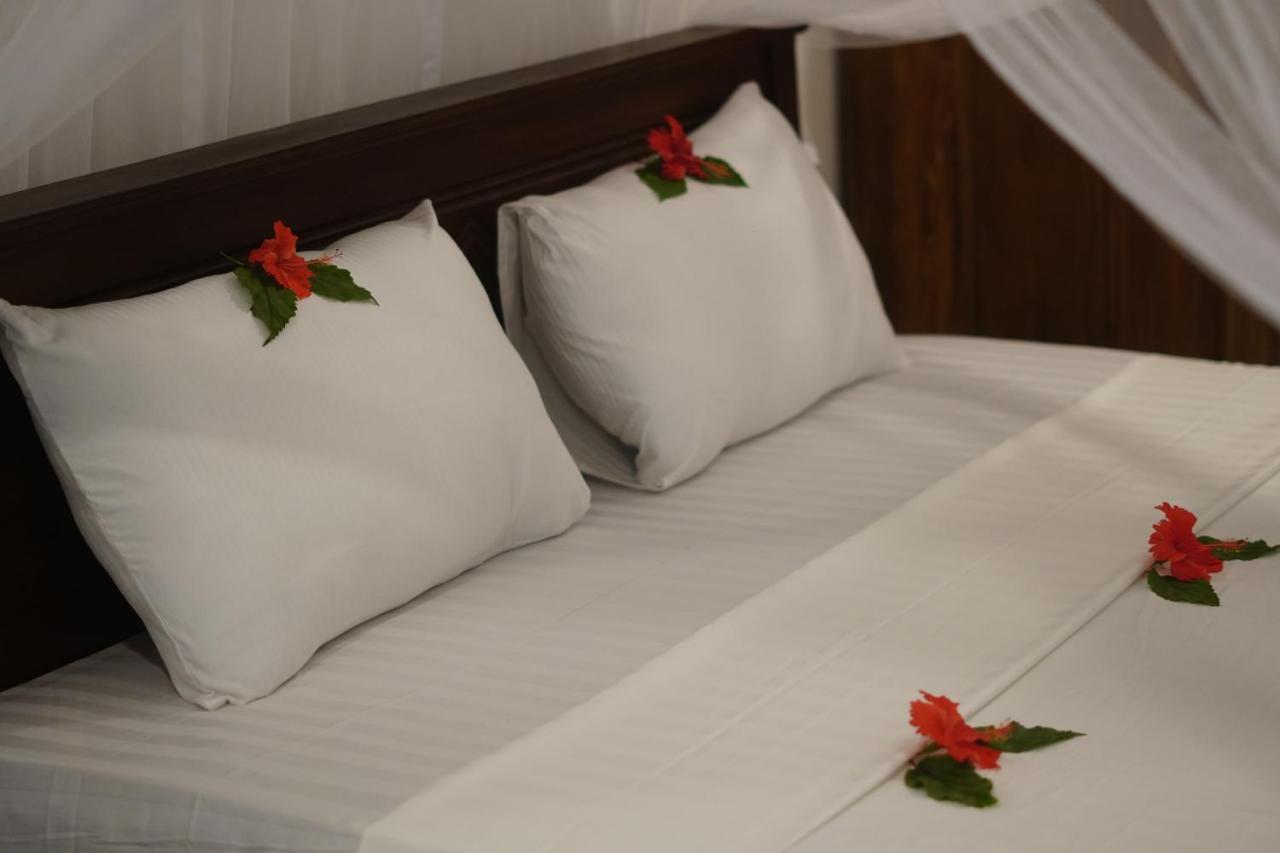 Turtle Bay Beach Resort Mirissa Zewnętrze zdjęcie