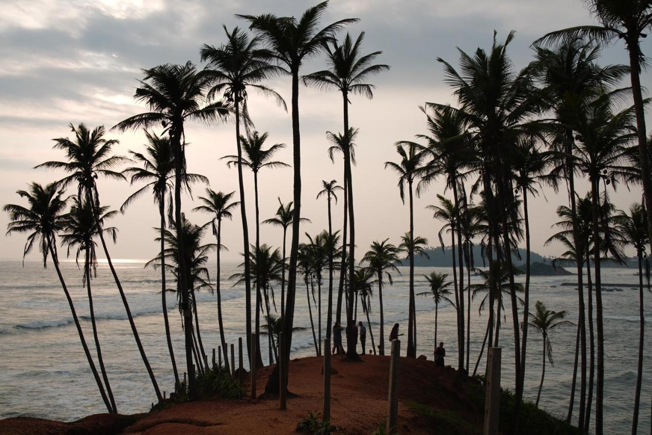 Turtle Bay Beach Resort Mirissa Zewnętrze zdjęcie
