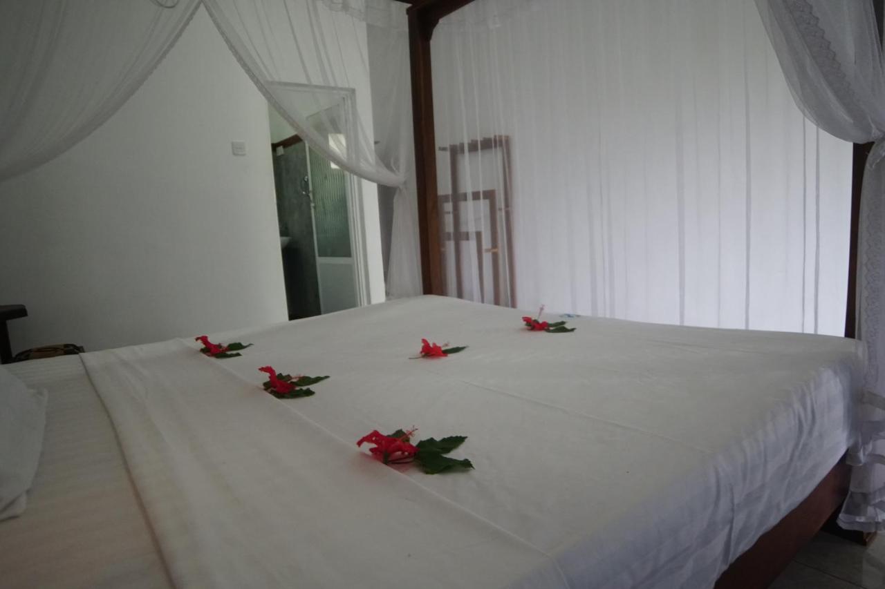 Turtle Bay Beach Resort Mirissa Zewnętrze zdjęcie