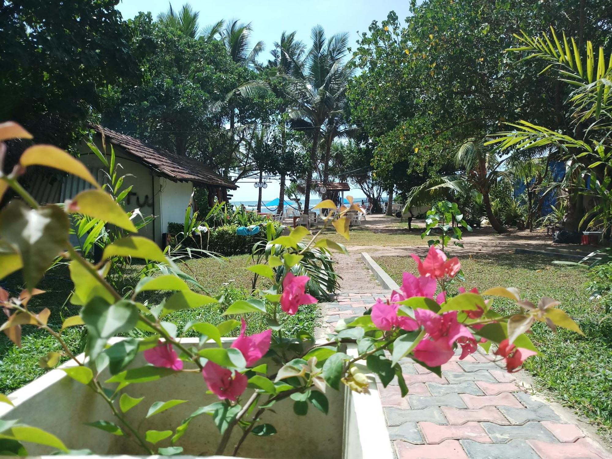 Turtle Bay Beach Resort Mirissa Zewnętrze zdjęcie